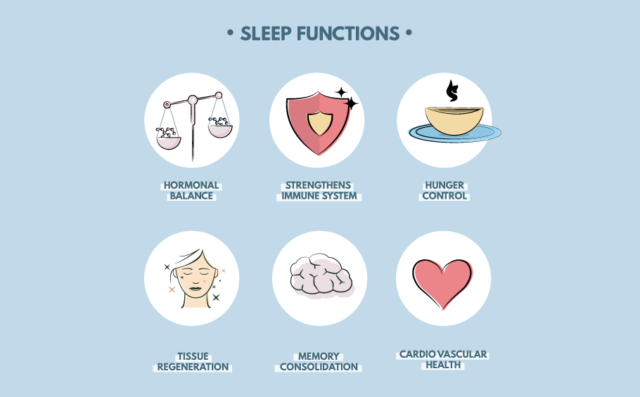 functions of sleep